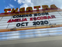 Load image into Gallery viewer, Photo of your message on the Plaza Marquee!